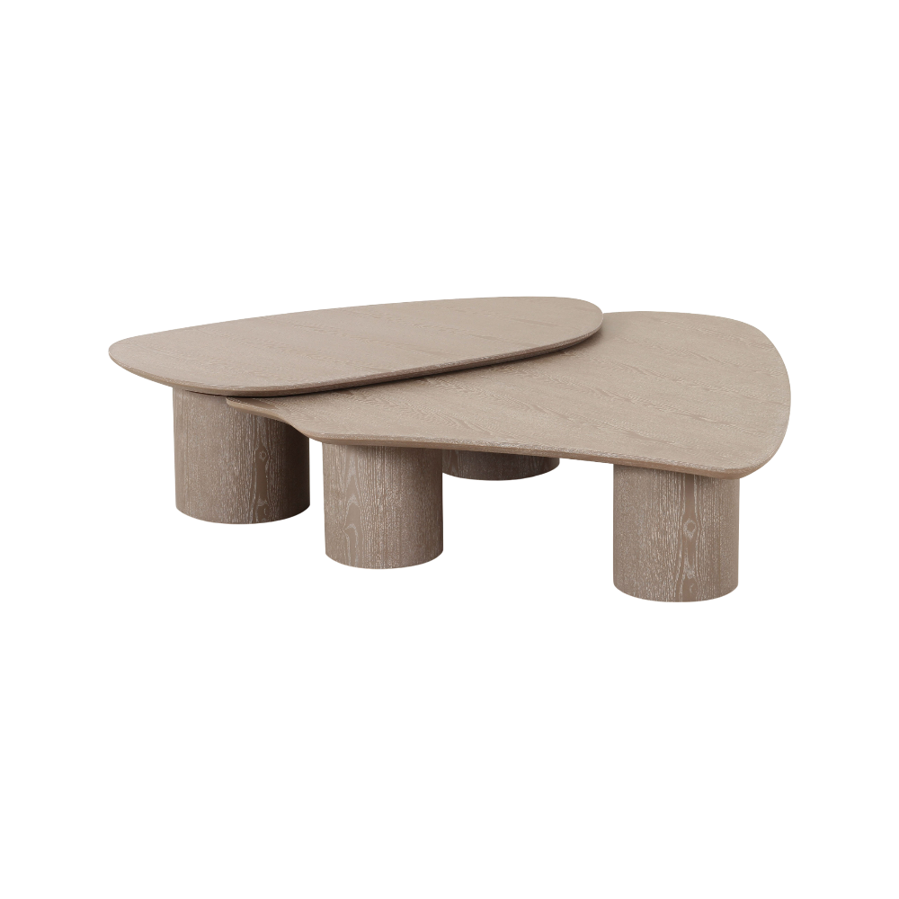 Vesta 2 Piece Washed Ash Nesting Coffee Table Set