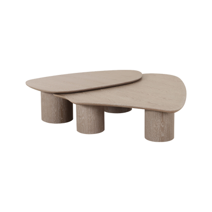 Vesta 2 Piece Washed Ash Nesting Coffee Table Set