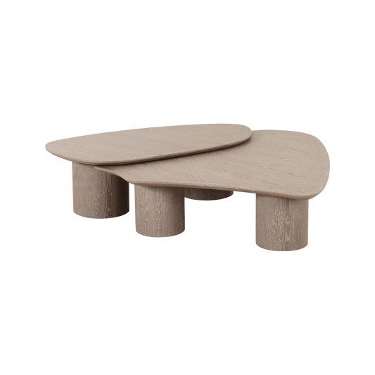 Vesta 2 Piece Washed Ash Nesting Coffee Table Set