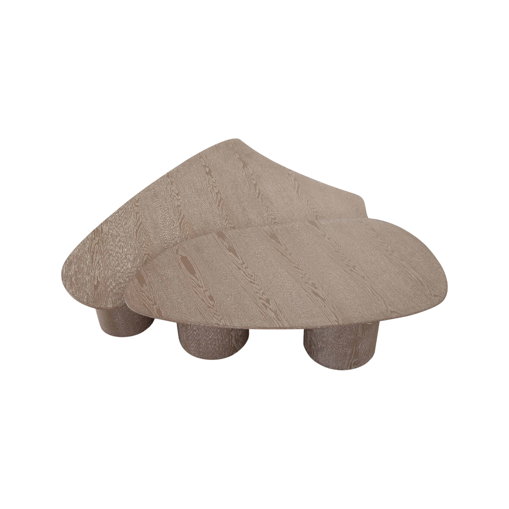 Vesta 2 Piece Washed Ash Nesting Coffee Table Set