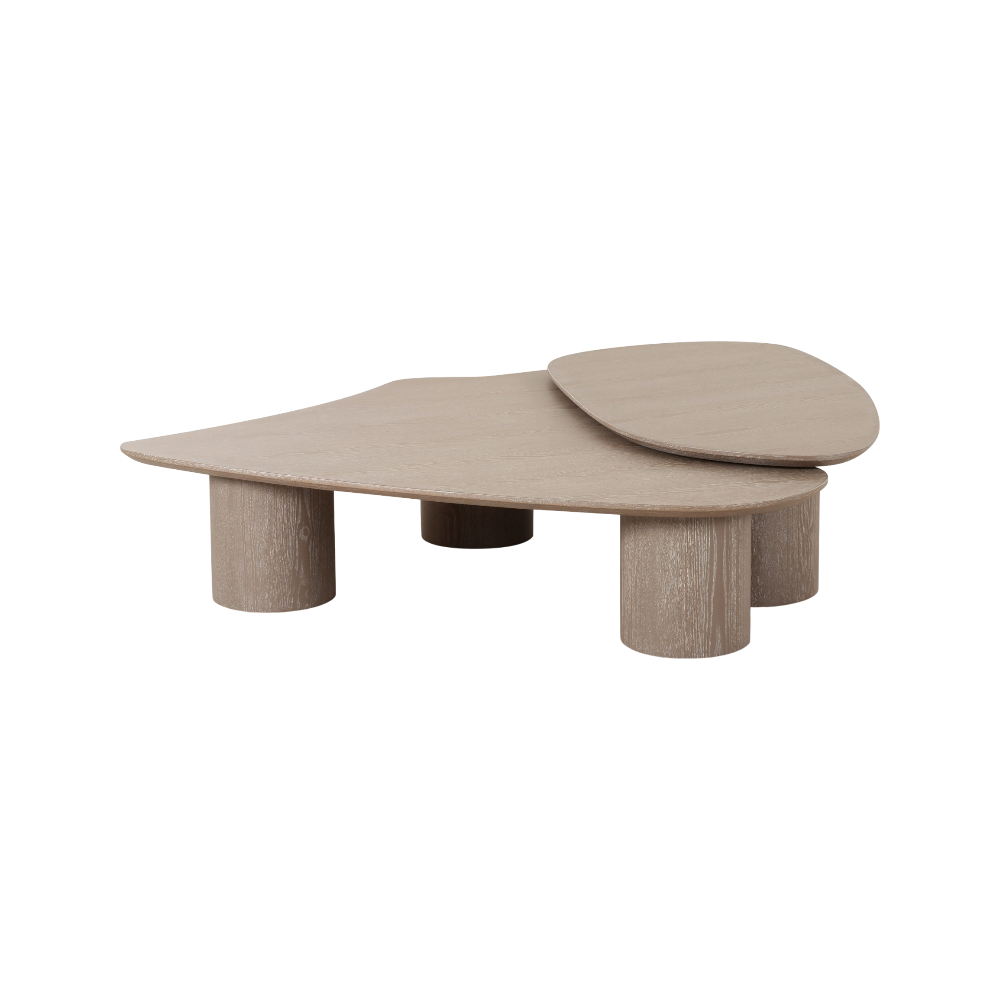 Vesta 2 Piece Washed Ash Nesting Coffee Table Set