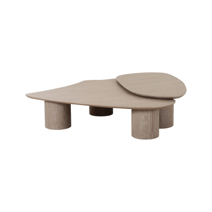 Vesta 2 Piece Washed Ash Nesting Coffee Table Set